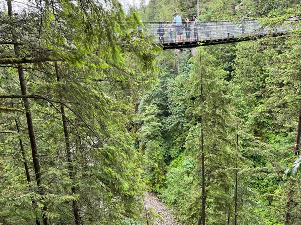 The Ultimate Guide to Capilano Suspension Bridge Park I Could Show