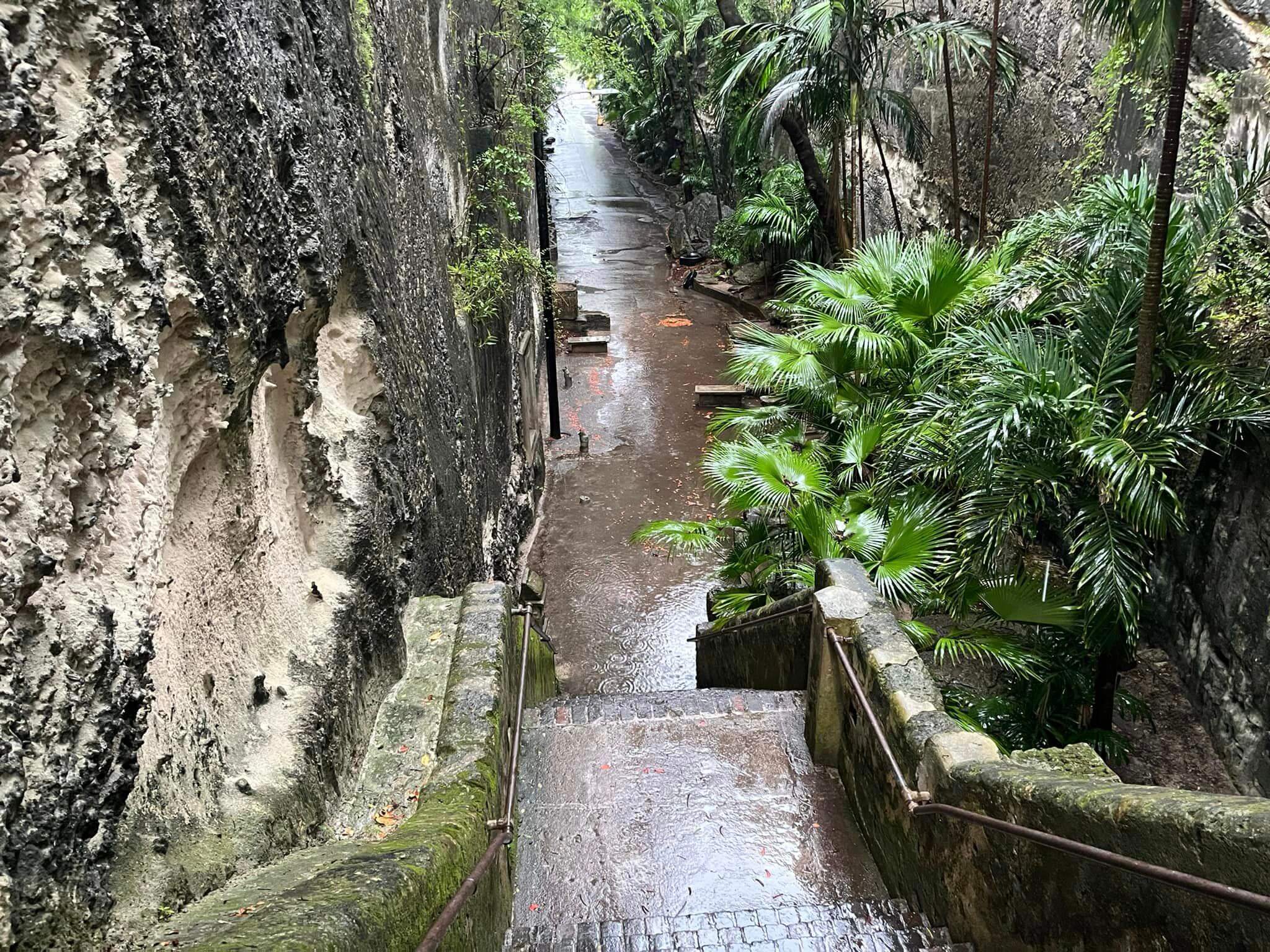 climbing-the-queen-s-staircase-in-nassau-the-bahamas-i-could-show